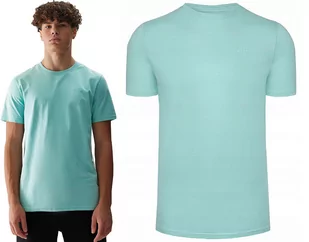 4F KOSZULKA MĘSKA T-SHIRT BAWEŁNA M1154 r.3XL - Koszulki męskie - miniaturka - grafika 1