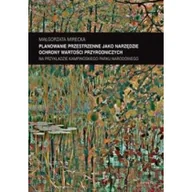 Podręczniki dla szkół wyższych - Planowanie przestrzenne jako narzędzie ochrony Małgorzata Mirecka - miniaturka - grafika 1