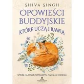 Ezoteryka - Opowieści buddyjskie, które uczą i bawią. Spójrz na świat z otwartym umysłem i sercem - miniaturka - grafika 1
