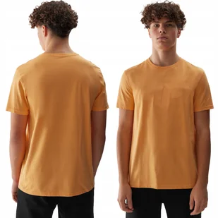 Koszulka Męska 4F T-shirt Bawełniany Sportowy Duże Logo Limitowany SS24 - Koszulki męskie - miniaturka - grafika 1