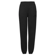 Spodnie damskie - Damskie Spodnie FILA BANDIRMA HIGH WAIST SWEAT PANTS FAW0254-80001 – Czarny - miniaturka - grafika 1