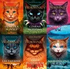 Pakiet z serii Wojownicy - Fantasy - miniaturka - grafika 1