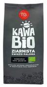 Kawa - QUBA CAFFE Kawa ziarnista Quba Caffe BIO 100% Arabica Hondurasu 250g 7637-uniw - miniaturka - grafika 1