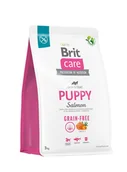 Sucha karma dla psów - Brit Care Dog Grain-Free Puppy 3 kg Salmon - miniaturka - grafika 1