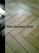 E-booki - komiksy - Teatr Krzywej Sceny - ebook PDF - miniaturka - grafika 1