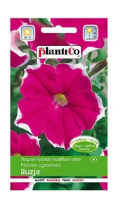 Petunia ogrodowa Iluzja różowa 0,05 g Plantico - Nasiona i cebule - miniaturka - grafika 1