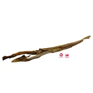 Przysmaki dla psów - Maced Smako Gryzak z SARNY 45cm suszony przysmak Maced dla psów naturalny sarnina - miniaturka - grafika 1