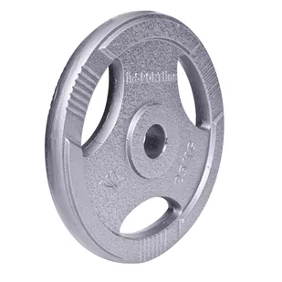 InSportLine Obciążenie Olimpijskie Stalowe Insportline Hamerton 25 Kg (12707) - Obciążenia - miniaturka - grafika 1