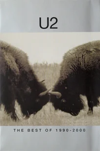 The Best Of 1990-2000 DVD) U2 - Metal, Punk - miniaturka - grafika 2