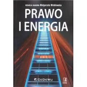 Powieści i opowiadania - Małgorzata Wróblewska Prawo i energia - miniaturka - grafika 1