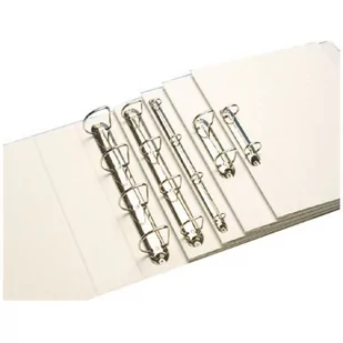 Segregator PANORAMA A4+ 2RR/16 30mm biały ofertowy LEITZ 42770001 - Segregatory - miniaturka - grafika 1