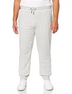 Spodenki męskie - FILA Męskie spodnie dresowe Wilmet Sweat Pants - miniaturka - grafika 1