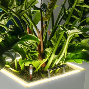 Donica Lechuza CANTO Premium Kolumna 40 LED biały połysk - Donice Donica Lechuza CANTO Premium Kolumna 40 LED biały połysk - Donice - miniaturka - grafika 6