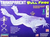 Akcesoria i części modelarskie - Model plastikowy Lindberg - Transparent Bull Frog (Przezroczysta żaba rycząca) - miniaturka - grafika 1