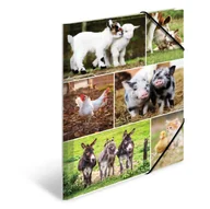 Teczki i skoroszyty - Teczka A4 Z Gumkami, Zwierzęta Na Farmie - miniaturka - grafika 1