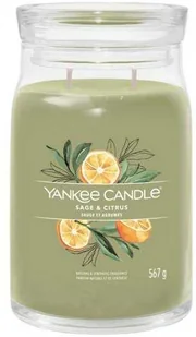 YANKEE CANDLE SAGE & CITRUS 567.0 g - Świece YANKEE CANDLE SAGE & CITRUS 567.0 g - Świece - miniaturka - grafika 2