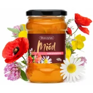 Miód - Skoczylas Miód Naturalny Wielokwiatowy 400 g Skoczylas SKO-030 - miniaturka - grafika 1