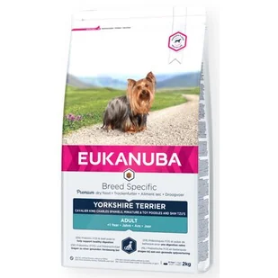 Eukanuba Adult Breed Specific Yorkshire Terrier - 2 x 2 kg - Sucha karma dla psów - miniaturka - grafika 1