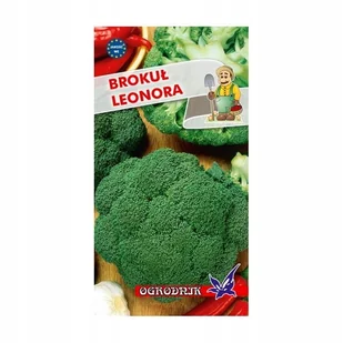 Brokuł Leonora 1g / O / - Nasiona i cebule - miniaturka - grafika 1