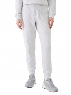 Damskie spodnie dresowe 4F TROF1138 27M jasny szary XXL - Dresy damskie - miniaturka - grafika 1
