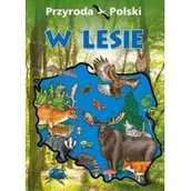 Książki edukacyjne - SBM Przyroda Polski W lesie - Praca zbiorowa - miniaturka - grafika 1