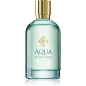 Wody i perfumy męskie - Aqua di Sorrento Posillipo woda perfumowana 100 ml dla mężczyzn - miniaturka - grafika 1