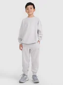 Bluzy dla chłopców - 4F Komplet dresowy dziecięcy - szary 122/128 (6-8 lat) - miniaturka - grafika 1