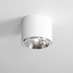 Aldex Bot lampa sufitowa spot 1-punktowa biała 1046PL_G - Lampy sufitowe - miniaturka - grafika 1