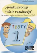 Podręczniki dla szkół podstawowych - Niko Główka pracuje teścik rozwiązuje - Monika Kozikowska - miniaturka - grafika 1