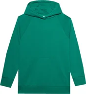 Bluzy damskie - Bluza damska 4F F0955 zielona 4FWSS24TSWSF0955 41S-L - miniaturka - grafika 1