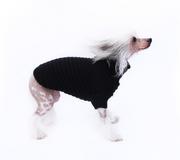 Ubranka dla psów - Sweterek dla psa Slim Sweterek dla psa Slim czarny xxl - miniaturka - grafika 1