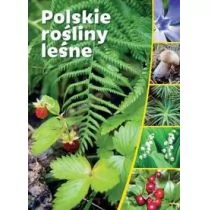 SBM Polskie rośliny leśne - SBM - Albumy - przyroda - miniaturka - grafika 1