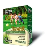 Trawy i trawniki - Trawnik Rekreacyjny 0,5 kg kartonik - miniaturka - grafika 1