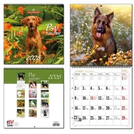 Kalendarze - EV-Corp Kalendarz 2026 30x60 13 planszowy Psy Rasowe - kalendarz - miniaturka - grafika 1