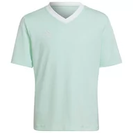 Koszulki sportowe męskie - Koszulka adidas ENTRADA 22 JSY Y HC5078 - miniaturka - grafika 1