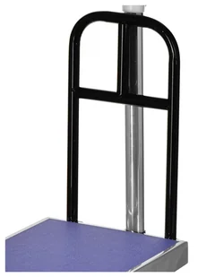 Waga platformowa WAGI TARCZYN WT-123 300kg - Wagi specjalistyczne - miniaturka - grafika 4