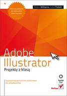 Grafika i DTP - Adobe Illustrator. Projekty z klasą - miniaturka - grafika 1
