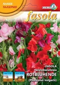 Nasiona i cebule - Fasola wielokwiatowa Rotbluhende 20g / L / - miniaturka - grafika 1