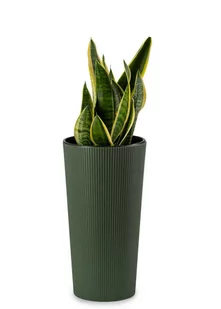 Doniczka Donica Osłonka WYSOKA KWIETNIK PALMÓWKA 46cm z WKŁADEM Zielona do Salonu Ogrodu Taras - Donice - miniaturka - grafika 1