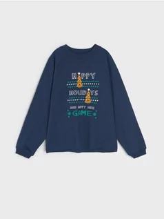 Swetry dla chłopców - Sinsay - Bluza - szary - grafika 1