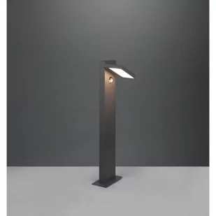 Trio HORTON LED Antracyt wys. 50cm. 8W 3000K Czujnik ruchu i zmierzchu Lampa stojąca zewnętrzna regulowana 526369142 526369142 - Lampy ogrodowe - miniaturka - grafika 1