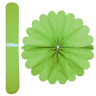 Prace ręczne dla dzieci - Pompon Ozdobny Z Bibuły 30X48 Cm Zieleń Limonki B - miniaturka - grafika 1