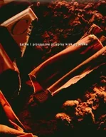 Ciasta, desery, wypieki - Czekolada. Łatwe i przepyszne przepisy. Krok po kroku - miniaturka - grafika 1