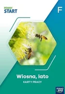 Pedagogika i dydaktyka - Pewny start. Poziom F. Wiosna, lato Kp - książka - miniaturka - grafika 1
