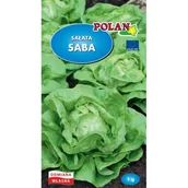 Nasiona i cebule - Sałata Masłowa SABA 1g - miniaturka - grafika 1