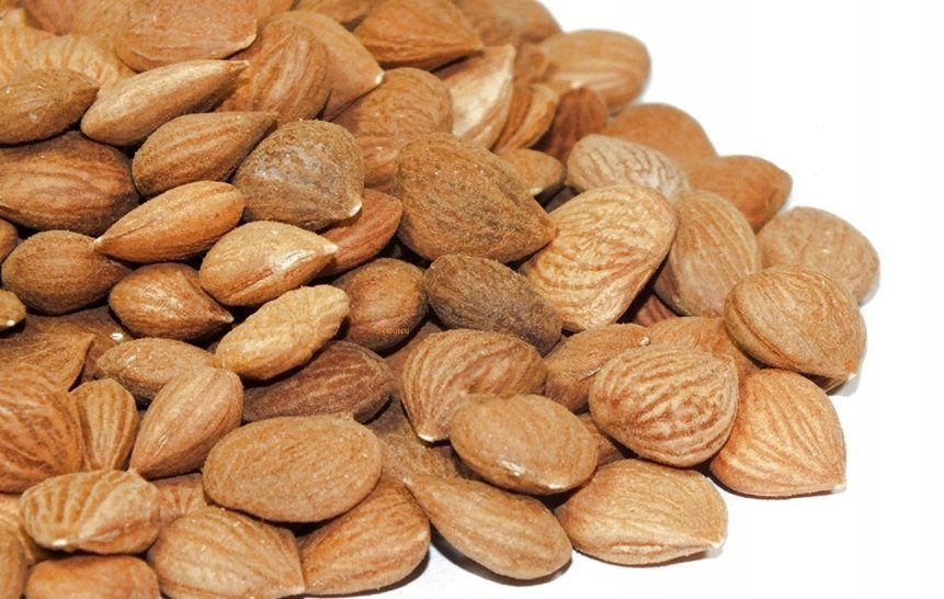 Migdały gorzkie Pestki moreli 50 g od Skworcu