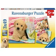 Puzzle - Ravensburger Puzzle 3x49 elementów Słodkie szczeniaczki - miniaturka - grafika 1