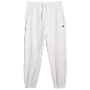 Spodnie męskie 4F Trousers Cas M1139 Rozmiar: L / Kolor: szary - Spodnie sportowe męskie - miniaturka - grafika 1