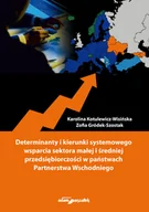 Ekonomia - Adam Marszałek Determinanty i kierunki systemowego wsparcia sektora małej i średniej przedsiębiorczości w państwach Partnerstwa Wschodniego - miniaturka - grafika 1