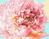 Malowanie po numerach - Malowanie po numerach - Delikatna piwonia 40x50cm - Ideyka - miniaturka - grafika 1